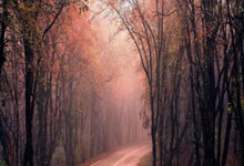 北京国安主场击败亚泰，实力碾压