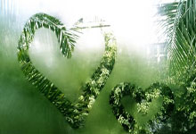 豪门翻盘不易，新秀冲刺当先