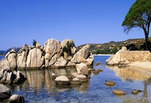 开拓者主场告负，麦卡勒姆欠发挥