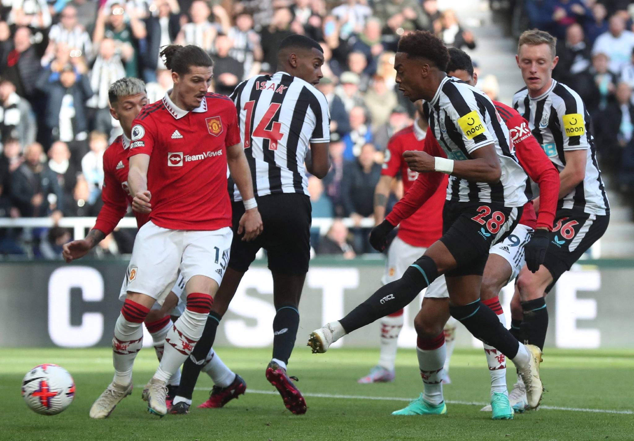 三亿体育体育注册-关于阿尔卑斯队主场告捷，提升球队士气的信息