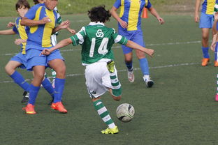 中国足协发布国家队集训名单,里皮回归担任主教练,中国足球国家队集训名单